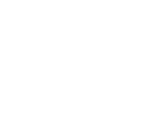 NT — Nikhil Trikha monogram
